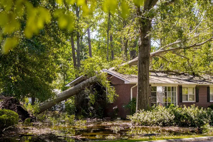 BMS CAT & Highland Construction Picture 2