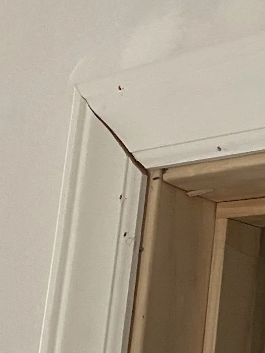 BMS CAT & Highland Construction Picture 8