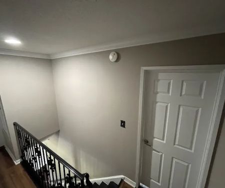 Rolling Paradise Painting & Services