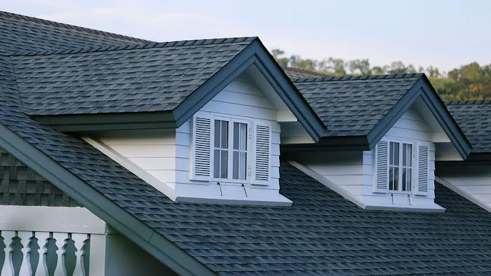 Maven Roofing Picture 1