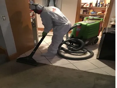 Greenhill Restoration Picture 5