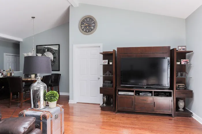 The Painter Guy Picture 1