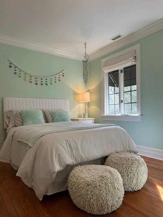 The Painter Guy Picture 8