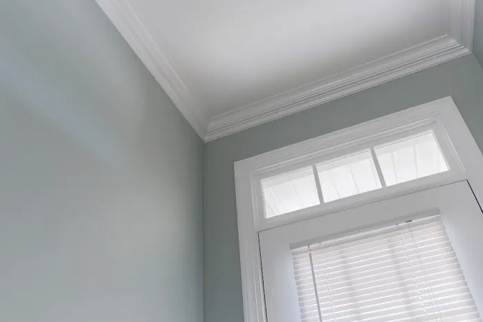 The Painter Guy Picture 10