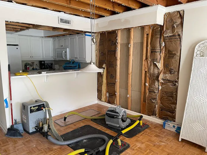 Sano Steam Picture 5