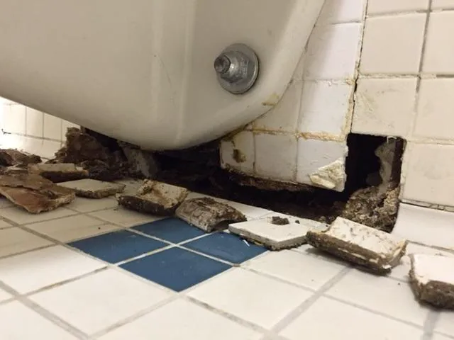 Miracle Method Surface Refinishing Picture 5