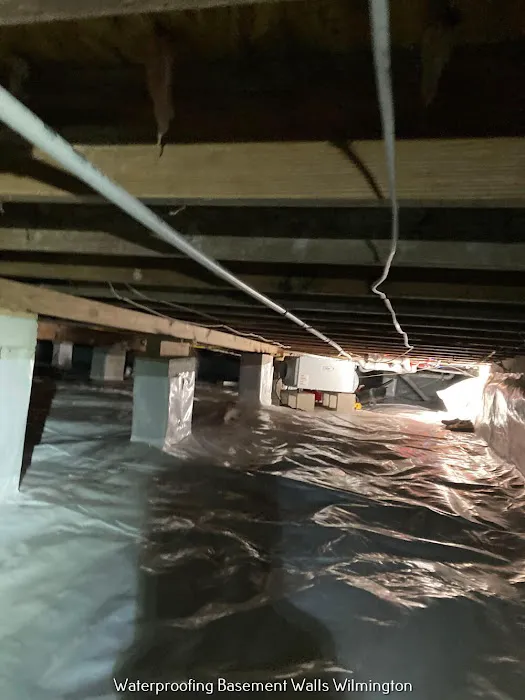 Crawl Space Ninja of Wilmington Picture 1