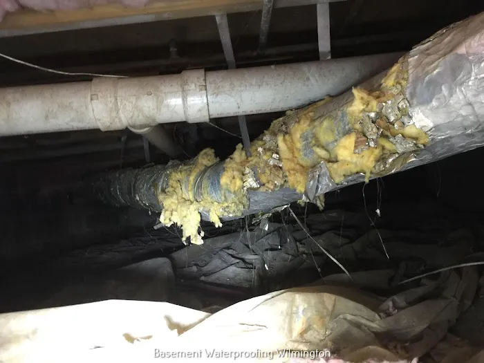 Crawl Space Ninja of Wilmington Picture 4