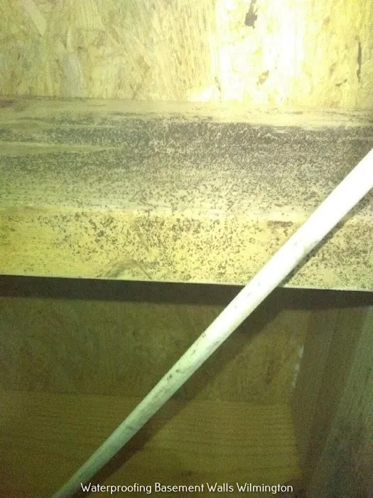 Crawl Space Ninja of Wilmington Picture 10