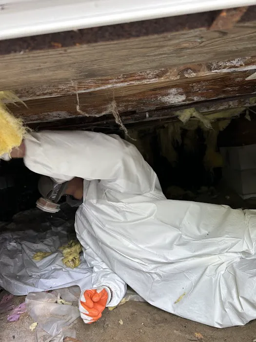 Cape Fear Crawl Spaces Picture 2