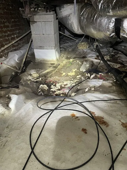 Cape Fear Crawl Spaces Picture 7