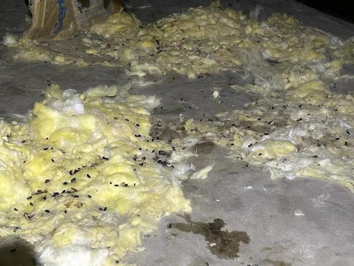 Cape Fear Crawl Spaces Picture 6