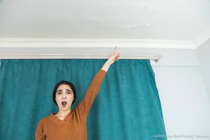 Hero Mold Company of Wilmington NC Picture 8