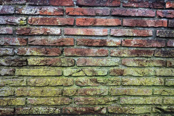 Hero Mold Company of Wilmington NC Picture 7