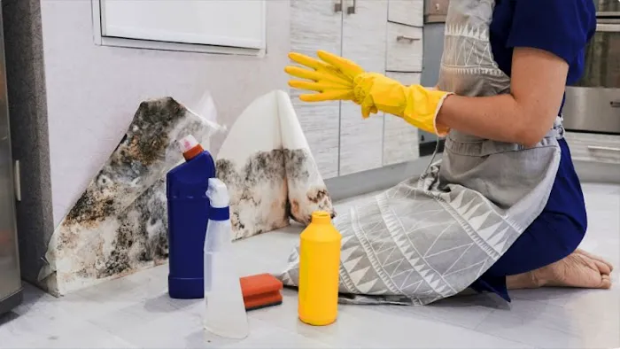 Bryter Restoration of Wilmington Picture 6