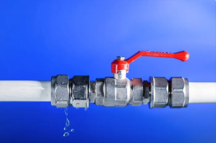 Bryter Restoration of Wilmington Picture 5