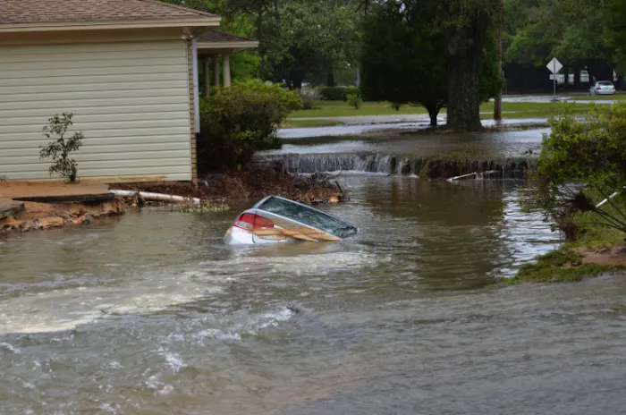 Bryter Restoration of Wilmington Picture 8