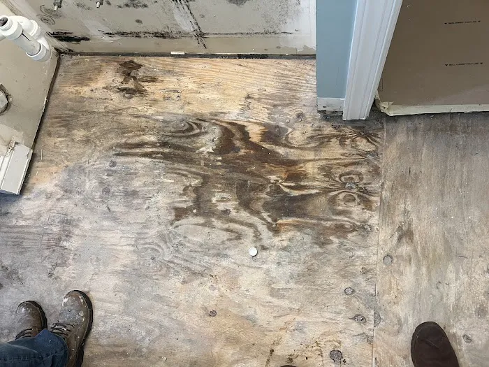 AdvantaClean of Coastal Carolina Picture 5