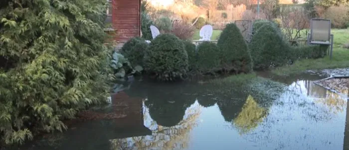 Ultra Water Damage Restoration Picture 7