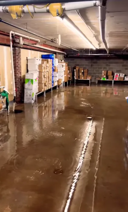 Ultra Water Damage Restoration Picture 8