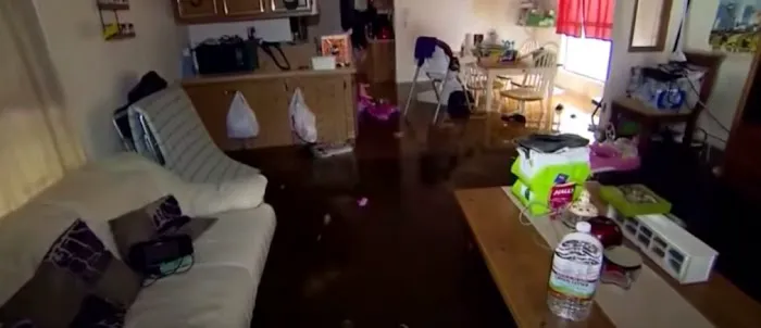 Ultra Water Damage Restoration Picture 9