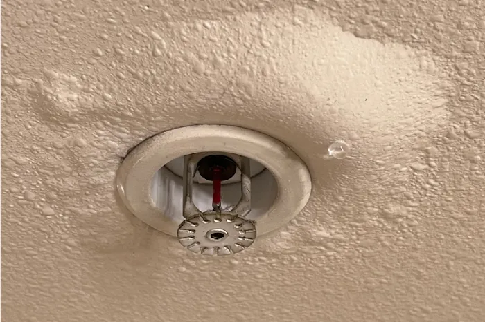 Ultra Water Damage Restoration Picture 5