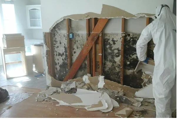 Solutions of Albuquerque Picture 8