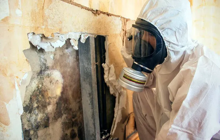 Solutions of Albuquerque Picture 5