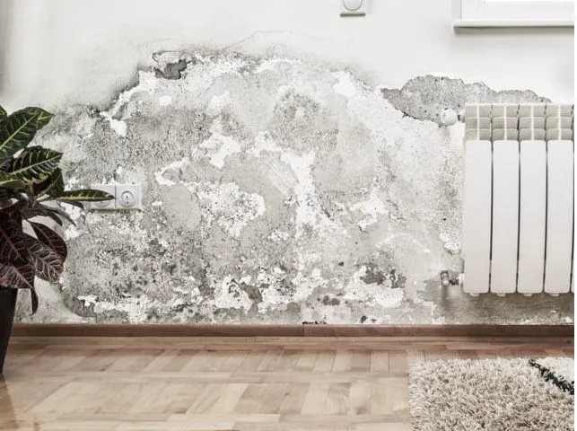 Solutions of Albuquerque Picture 4