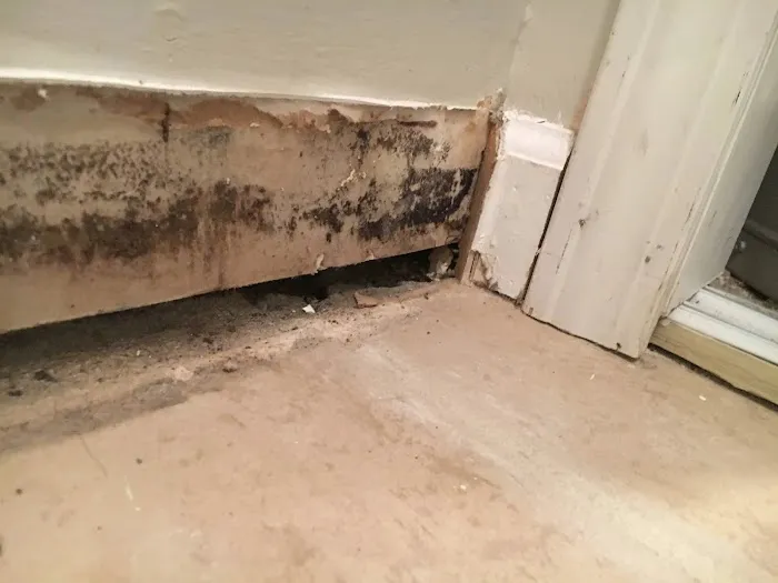 Solutions of Albuquerque Picture 10