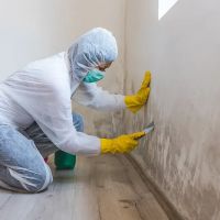 Emergency Restoration Pros LLC ico