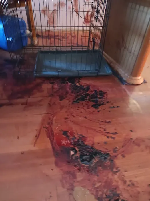 Above & Beyond Cleaning & Restoration Picture 10