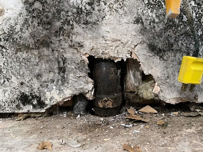 American Restoration Water and Fire LLC Picture 4