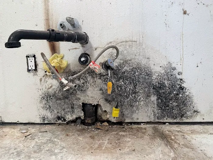 American Restoration Water and Fire LLC Picture 7