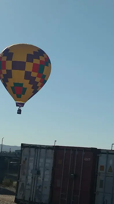 Bear Restoration Picture 1