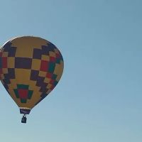 Bear Restoration ico