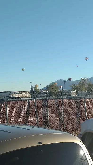 Bear Restoration Picture 3