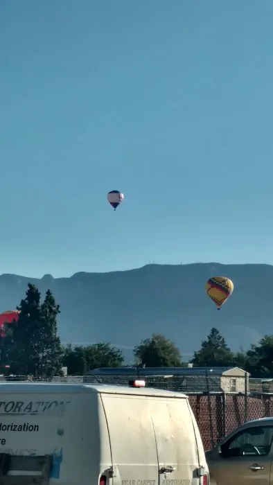 Bear Restoration Picture 4