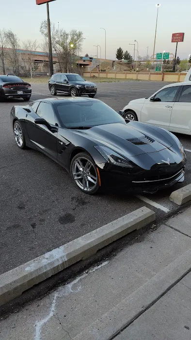 Bear Restoration Picture 6