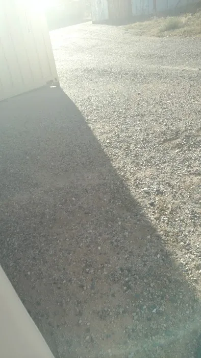 Bear Restoration Picture 5