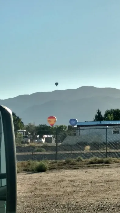 Bear Restoration Picture 8