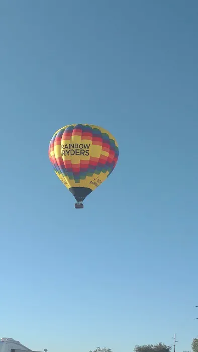 Bear Restoration Picture 7