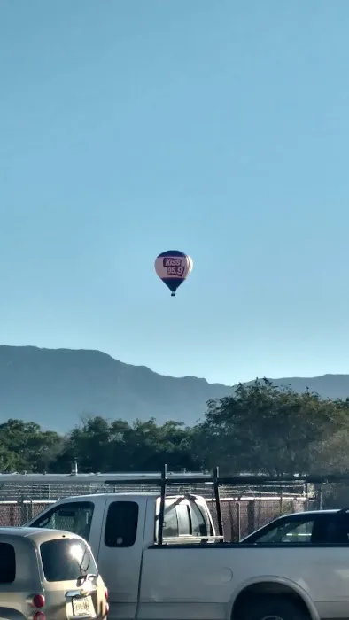 Bear Restoration Picture 10