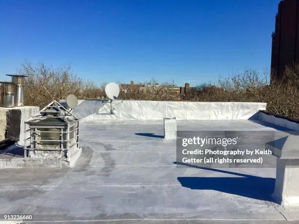 99 Restoration Picture 5