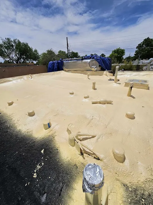 99 Restoration Picture 6