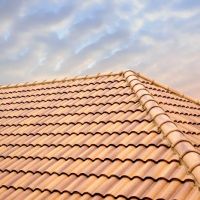 Delgado's General Contractors ico