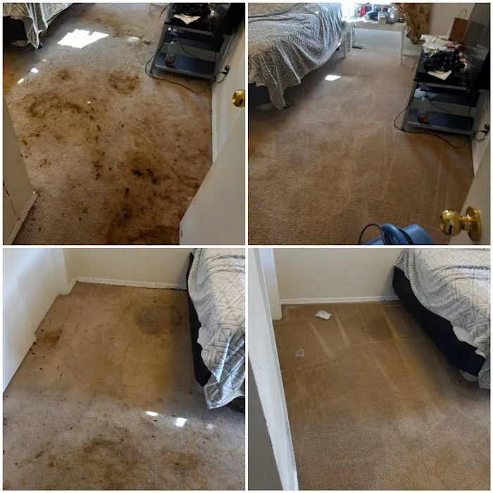 COIT Cleaning and Restoration Picture 6