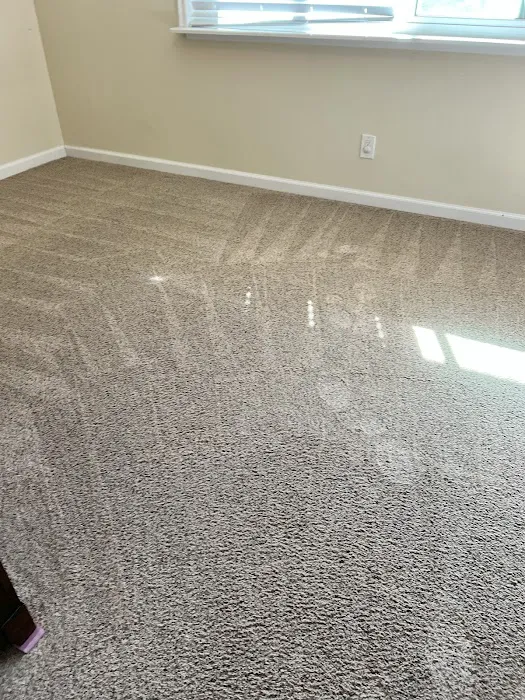 COIT Cleaning and Restoration Picture 9