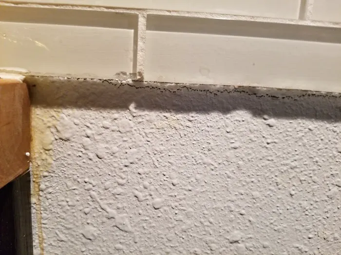 Paul Davis Restoration of New Mexico Picture 9