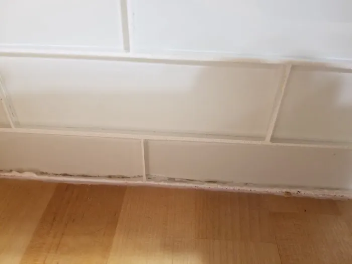 Paul Davis Restoration of New Mexico Picture 8